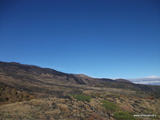 nte Zappinazzo-04-11-2012 10-57-53